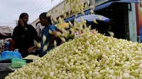 குளிர் காலத்திலும் மல்லிகை விளைச்சலை அதிகரிக்க என்ன செய்யலாம்?- விவசாயிகளுக்கு வேளாண் தொழில்நுட்ப வல்லுநர்கள் அறிவுரை