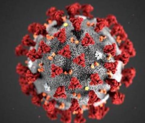 பிரதிநிதித்துவப் படம்