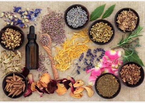 மகாத்மா காந்தியின் 150-வது பிறந்த தினம்; இயற்கை மருத்துவ கருத்தரங்கு