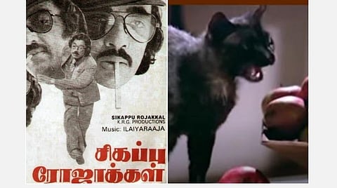 ’’20 நாளில் ‘சிகப்பு ரோஜாக்கள்’ எடுத்தேன்; அந்த பங்களாவுக்காக அலைந்தேன்; கறுப்புப் பூனைக்காக கேஸ் போட்டார்கள்!’’ - இயக்குநர் பாரதிராஜாவின் ‘சிகப்பு ரோஜாக்கள்’ சுவாரஸ்யங்கள்