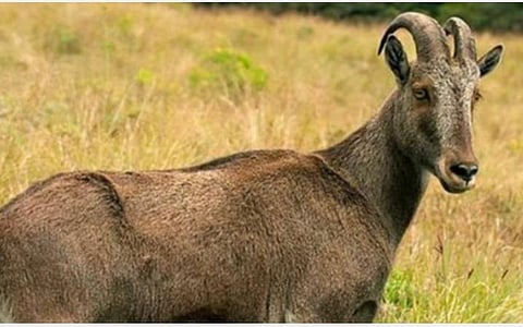 பிரதிநிதித்துவப் படம்