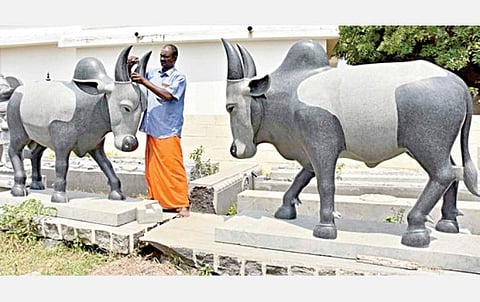 மாமல்லபுரத்தில், 10 டன் எடையுள்ள கருங்கல்லில் சீறி வரும் ஜல்லிக்கட்டு காளை சிற்பத்தை வடிவமைத்து வரும் சிற்பக் கலைஞர் யானை வரதன்.