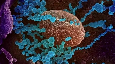 இந்தியாவில் 9 கோடி கரோனா பரிசோதனை; புதிய உச்சம்