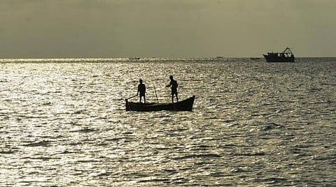 மீன் வள படிப்புகளில் மீனவர்களின் குழந்தைகளுக்கு சிறப்பு இட ஒதுக்கீடு: அமைச்சர் ஜெயக்குமார் தகவல்