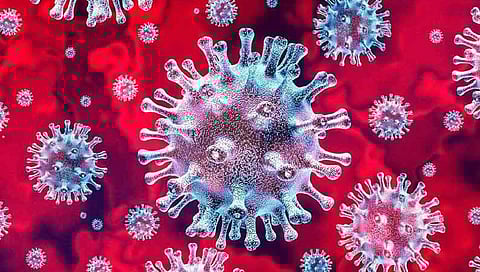 பிரதிநிதித்துவப் படம்