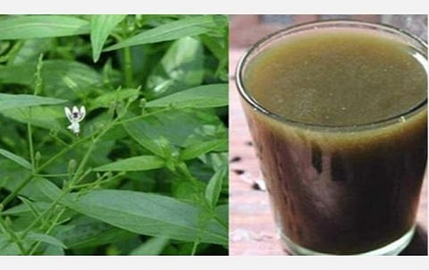 கரோனா தொற்றை குணப்படுத்தும் ‘கபசுர குடிநீர்’ தன்மை குறித்து ஆய்வு: தேசிய சித்த மருத்துவமனை - எய்ம்ஸ் மருத்துவமனை ஒப்பந்தம்