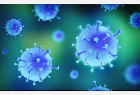 உலகம் முழுவதும் கரோனா பாதிப்பு 4.3 கோடியை நெருங்குகிறது