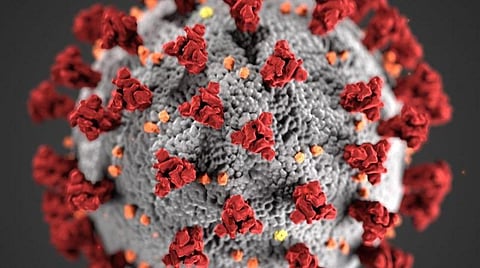 பிரதிநிதித்துவப் படம்