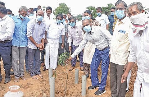 செஞ்சி அருகே மீனம்பூரில் கிராமப் புறங்களில் மரகன்றுகள் நடும் திட்டத்தை ஆட்சியர் அண்ணாதுரை தொடங்கி வைத்தார்.