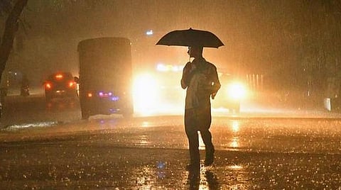 ஏமாற்றம் அளிக்கும் வடகிழக்கு பருவமழை: தென்காசி மாவட்ட விவசாயிகள் கவலை