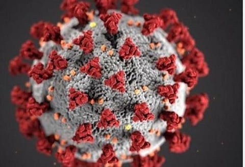 புதுவையில் கரோனா தாக்கம் குறைகிறது: குணமடைவோர் சதவீதம் 89.9 ஆனது