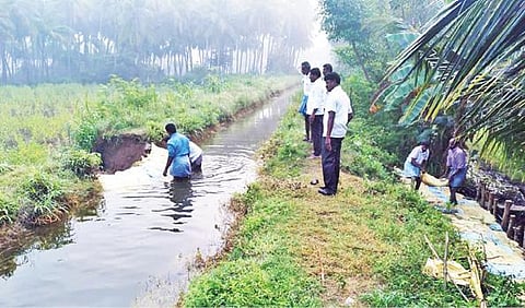 வேலம்பட்டி தொட்டி பாலம் முன்பு மண் கால்வாயில் ஏற்பட்ட உடைப்பை மணல் மூட்டைகளை வைத்து அடைக்கும் பணியில் ஈடுபட்ட பொதுப்பணித்துறையினர்.