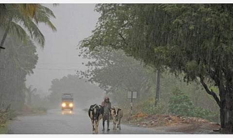 வளிமண்டல மேலடுக்குச் சுழற்சி; 10 மாவட்டங்களில் கனமழை; ஏனைய மாவட்டங்களில் மிதமான மழை: வானிலை ஆய்வு மையம் தகவல்