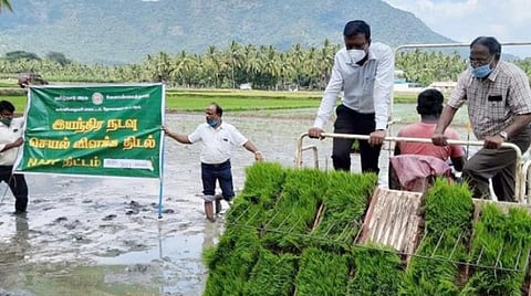 குமரியில் பருவமழை தீவிரம்: கும்பப்பூ சாகுபடிக்கு 4000 ஹெக்டேரில் இயந்திர நெல் நாற்று நடவு மும்முரம்