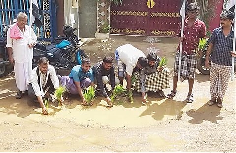 சாலைகளை சீரமைக்கக் கோரி புளியங்குடியில் நாற்று நடும் போராட்டத்தில் ஈடுபட்ட மனிதநேய மக்கள் கட்சியினர்.