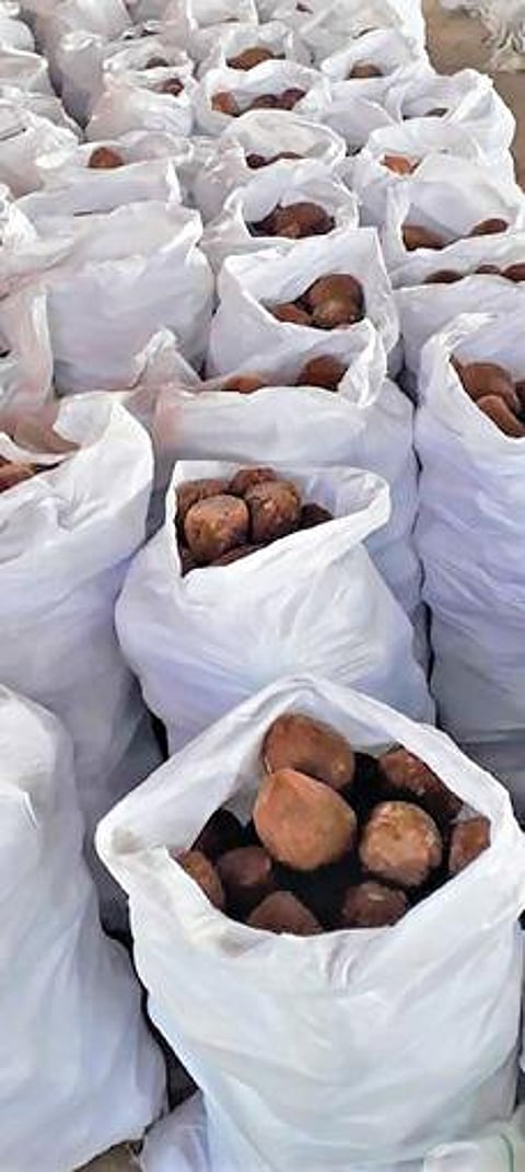 ஓமலூர் அடுத்த டேனிஷ்பேட்டை அருகே கரும்பாலையில் பறிமுதல் செய்யப்பட்ட வெல்லம்.