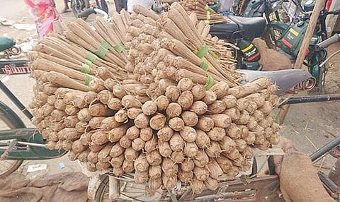 போச்சம்பள்ளி பகுதியில் விளைவிக்கப்படும் பனங்கிழங்குகள் விற்பனைக்காக சைக்கிள் மூலம் கொண்டு செல்லப்படுகின்றன.