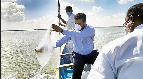காட்டுமன்னார்கோவில் அருகே உள்ள வீராணம் ஏரியில் மாவட்ட ஆட்சியர் சந்திரசேகர் சாகமூரி படகில் சென்று மீன்குஞ்சுகளை விட்டார்.