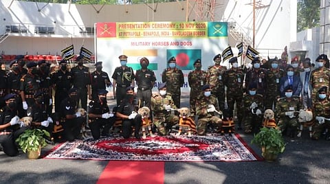 20 ராணுவ குதிரைகள், 10 மோப்ப நாய்கள்: வங்கதேச ராணுவத்துக்கு பரிசளித்தது இந்தியா