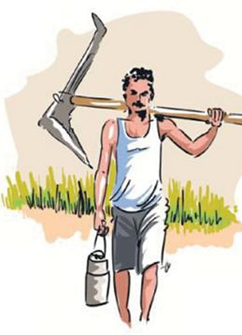 ரஷ்ய நாடோடிக் கதை: நிலம் உழுத ஈ