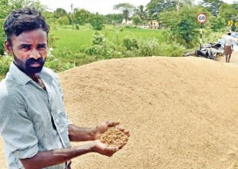 21.90 லட்சம் விவசாயிகளிடம் நெல் கொள்முதல்: ரூ.48,766.12 கோடி குறைந்த பட்ச ஆதரவு விலை வழங்கல்