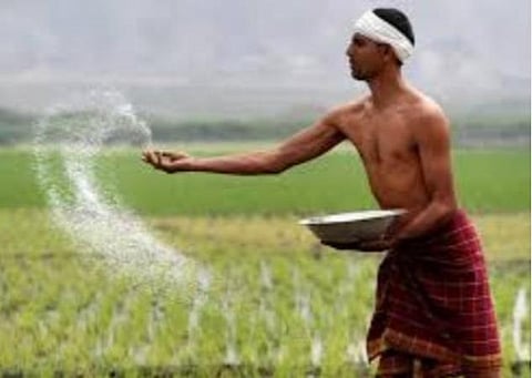 உரங்களின் விலை மூட்டைக்கு ரூ.50 குறைப்பு: இஃப்கோ நடவடிக்கை