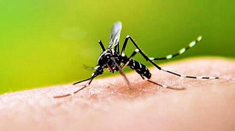 கோப்புப்படம்