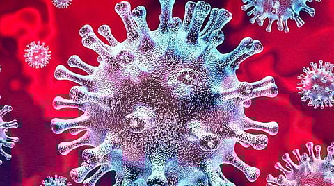 பிரதிநிதித்துவப் படம்.