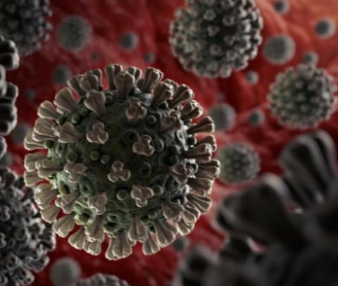 பிரதிநிதித்துவப் படம்