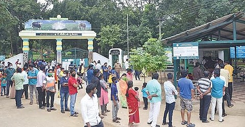 தீபாவளி பண்டிகை விடுமுறையையொட்டி, சேலம் குரும்பப்பட்டி உயிரியல் பூங்கா வில் நேற்று வழக்கத்தை விட கூட்டம் அதிகம் இருந்தது. இதனால், நுழைவுச்சீட்டு வாங்க நீண்ட வரிசையில் காத்திருந்த பொதுமக்கள். படம்: எஸ்.குரு பிரசாத்