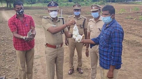 முயல் விற்பனையைத் தொடங்கி வைத்த சிறைத்துறை டிஐஜி சண்முகசுந்தரம். அருகில் கண்காணிப்பாளர் ஆர்.கிருஷ்ணராஜ்.