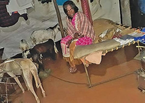 குறிஞ்சிப்பாடி அருகே உள்ள சின்னதானங்குப்பத்தில் வீட்டில் மழை நீர் புகுந்துள் ளது.