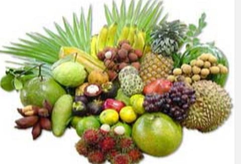 பசித்துப் புசித்தால் நோயற்றுப் போகும்: இன்று இயற்கை மருத்துவ தினம்!