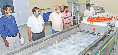 போச்சம்பள்ளியில் ரூ.51 கோடி மதிப்பில் அமைக்கப்பட்டுள்ள முதன்மை பதப்படுத்தும் நிலையத்தில் காய்கறிகள் பதப்படுத்தும் பணிகளை ஆட்சியர் ஜெயசந்திர பானு ரெட்டி ஆய்வு செய்தார்.