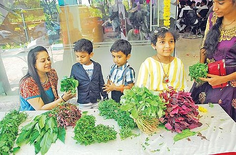 நூறு வகையான கீரைகளின் கண்காட்சி மதுரை ஒத்தக்கடையில் உள்ள வேளாண் கல்லூரியில் நடைபெற்றது. படம்: எஸ். கிருஷ்ணமூர்த்தி