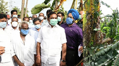 சேதமடைந்த வாழைப் பயிர்களைப் பார்வையிடும் முதல்வர் பழனிசாமி.