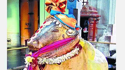 மகரம்; டிசம்பர் மாத பலன்கள் ; உடனிருப்போர் துரோகிகள் உஷார்; கடன் பிரச்சினை தீரும்; சாமர்த்தியப் பேச்சு; எதிலும் கவனம் தேவை!