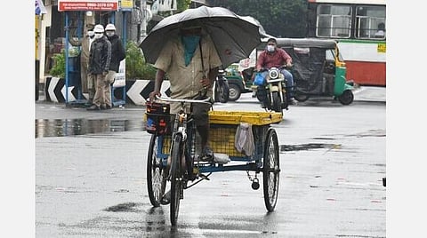 நிவர் புயலால் ஆந்திராவில் 5 மாவட்டங்களில் தொடர் மழை- திருப்பதி நடைபாதை தற்காலிகமாக மூடல்