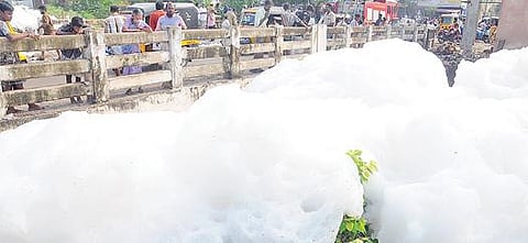 மதுரை மீனாம்பாள்புரம் கால்வாயில் ஓடும் கழிவுநீரால் எழும்பிய ரசாயன நுரை. படம்: எஸ். கிருஷ்ணமூர்த்தி