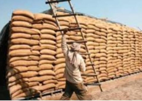 விளைபொருட்களுக்கு குறைந்தபட்ச ஆதரவு விலை: விவசாயிகளுக்கு ரூ.59837.31 கோடி விநியோகம்