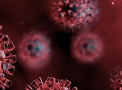 பிரதிநிதித்துவப் படம்