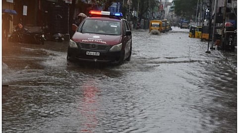 படம்: எல்.சீனிவாசன்