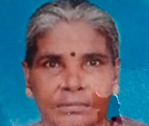 தனமயில்.