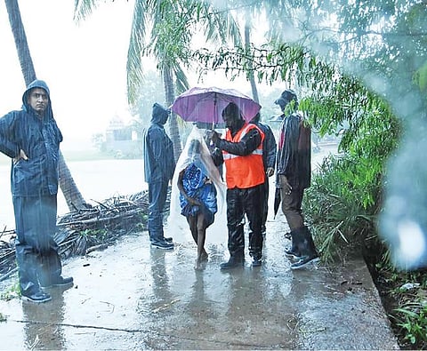 குமராட்சி அருகே சிறகிழந்தநல்லூர் கிராமத்தில் விளை நிலங்களைச் சூழ்ந்த வெள்ள நீர்.