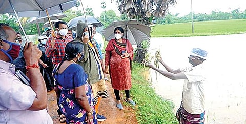 புரட்டிப் போட்ட ‘புரெவி’ புயல்: கடலூர், திருவாரூரில் 2.22 லட்சம் ஏக்கர் விளைநிலம் மூழ்கியது; 400 முகாம்களில் 42 ஆயிரம் பேர் தங்கவைப்பு