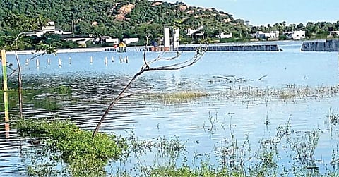 ஓழலூர் ஏரிக்கரையில் அமைக்கப்பட்டுள்ள வீட்டுமனையில் மழைநீர் தேங்கியுள்ளது.