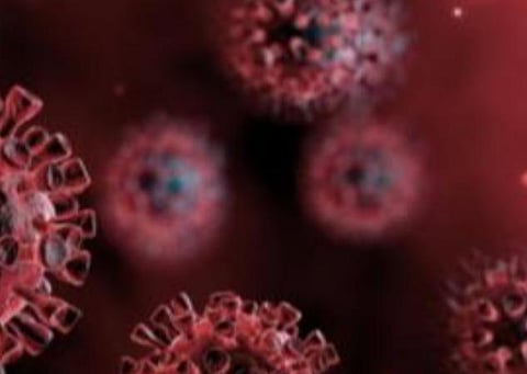 கரோனா பாதிப்பு; கடந்த 7 நாட்களாக ஒரு மில்லியன் பேருக்கு 182 ஆக குறைவு