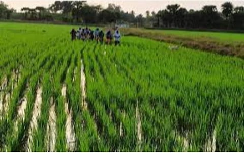 கோப்புப்படம்