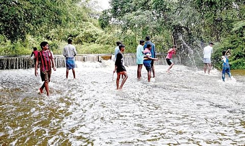 வேடந்தாங்கல் ஏரியிலிருந்து வெளியேறும் உபரிநீரில் வரும் மீன்களை, அப்பகுதி இளைஞர்கள் வலை, தூண்டில் போன்றவற்றை பயன்படுத்தாமல் கட்டைகளால் தாக்கி பிடிக்கின்றனர். படம்: எம்.முத்துகணேஷ்
