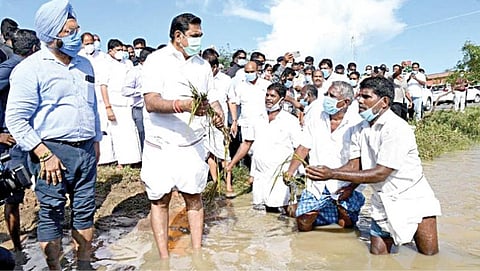 கடலூர் மாவட்டம் குறிஞ்சிப்பாடி வட்டம் அணுக்கம்பட்டு கிராமத்தில் புயல் கனமழையால் பாதிக்கப்பட்ட விளைநிலத்தை முதல்வர் பழனிசாமி பார்வையிட்டார். அப்போது, அப்பகுதி விவசாயிகள் நீரில் மூழ்கிய நெற்பயிர்களை காட்டி தங்கள் பாதிப்பை எடுத்துரைத்தனர்.